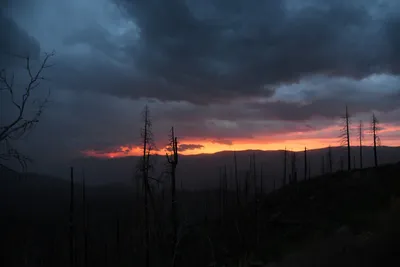 DSC_4581 (Large).JPG